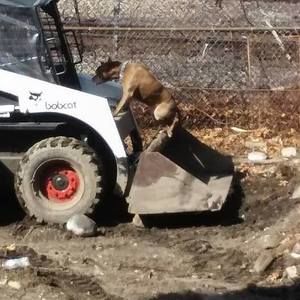 Meet your Posher, Andrew